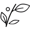 favicon-light favicon-light